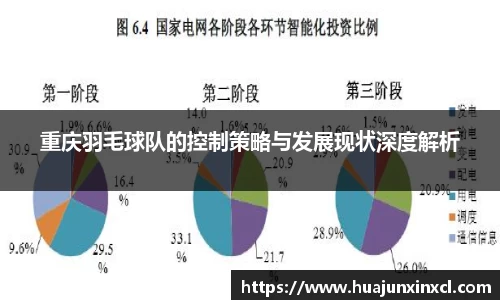 重庆羽毛球队的控制策略与发展现状深度解析